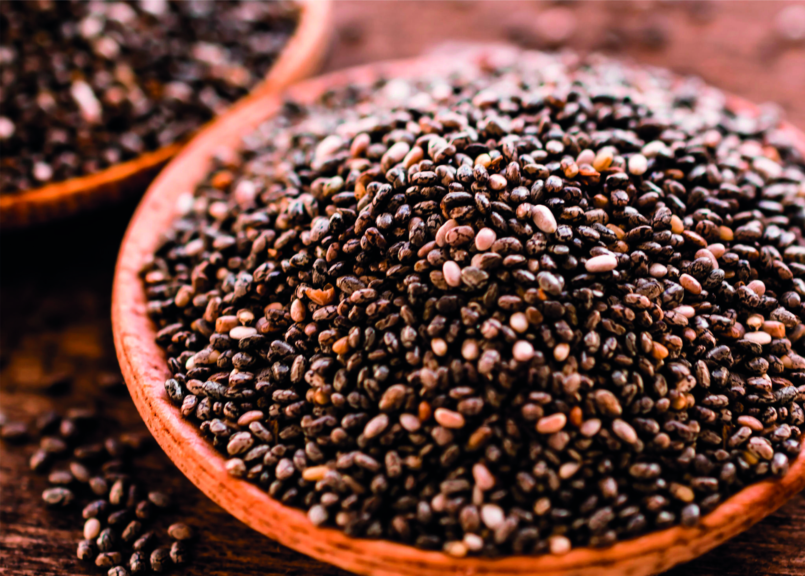 imginkapower chia 2